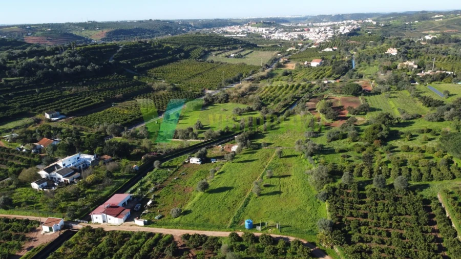 Terreno Agricola ou Rústico para Venda em Silves Foto 5