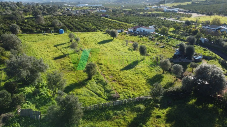 Terreno Agricola ou Rústico para Venda em Silves Foto 9