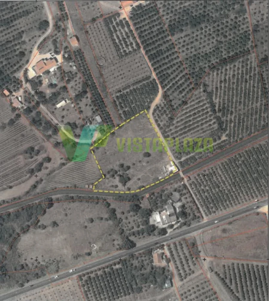 Terreno Agricola ou Rústico para Venda em Silves Foto 24