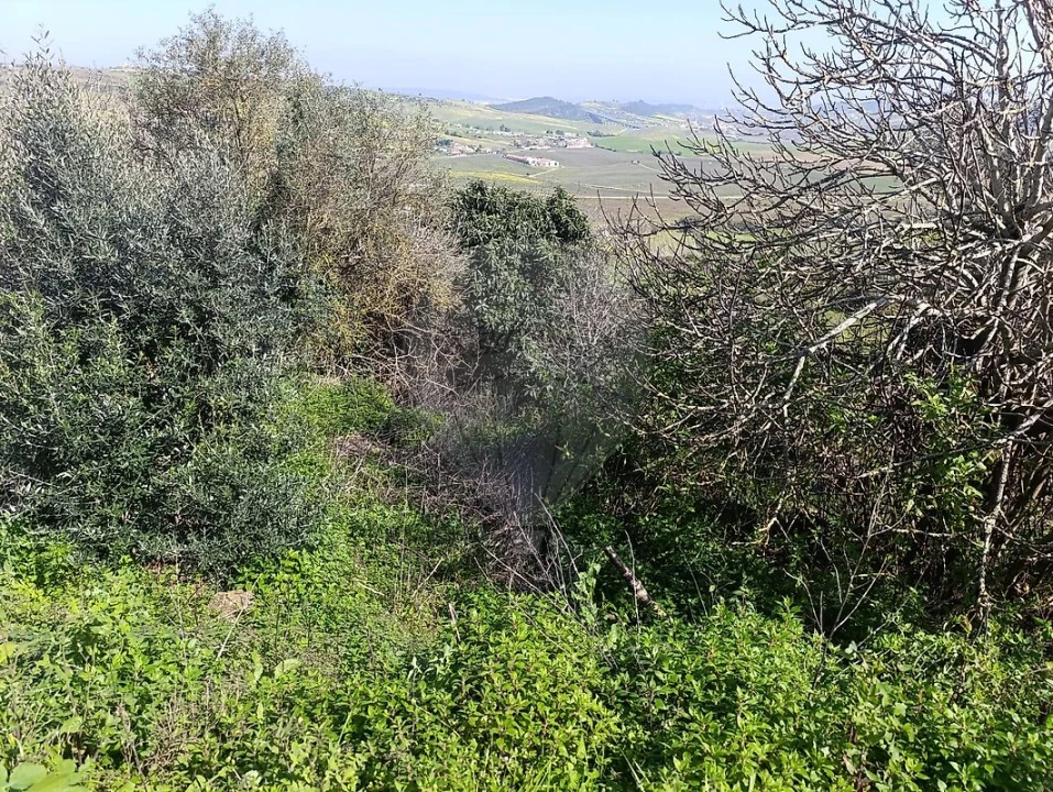 Terreno para Venda em Arruda dos Vinhos Foto 5