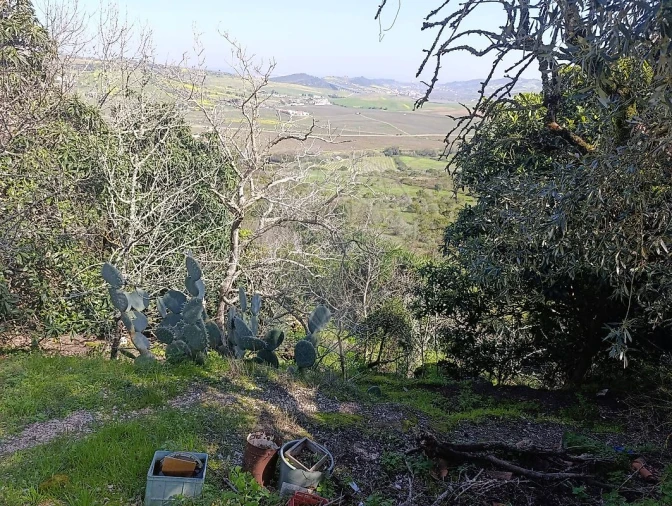 Terreno para Venda em Arruda dos Vinhos Foto 3
