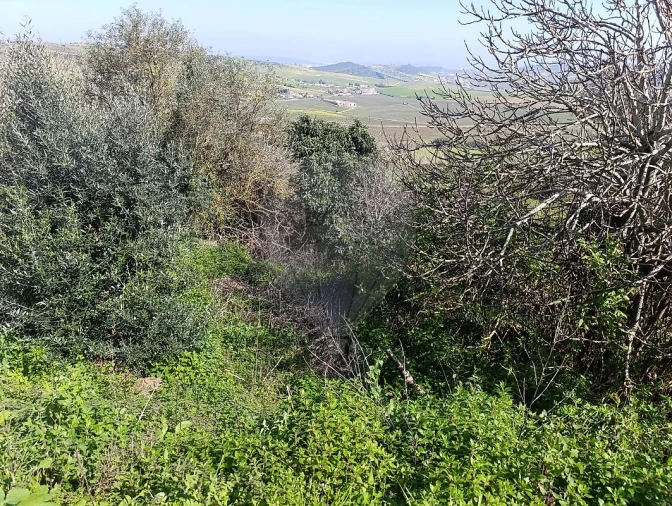 Terreno para Venda em Arruda dos Vinhos Foto 5