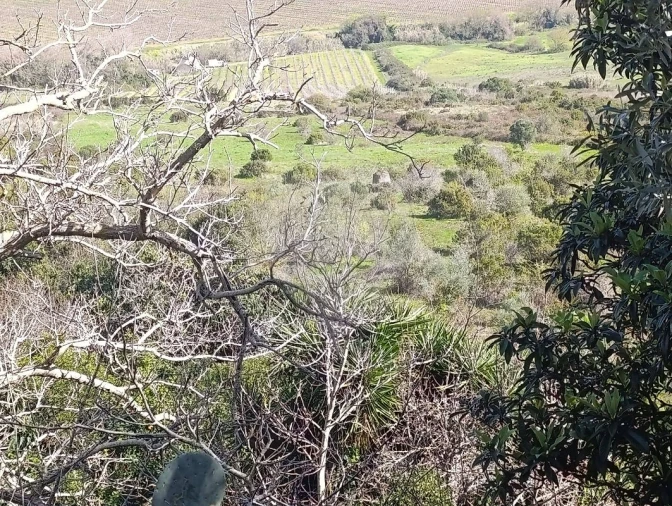 Terreno para Venda em Arruda dos Vinhos Foto 1