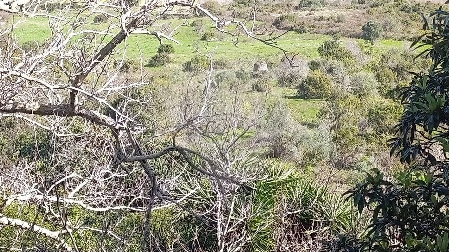 Terreno para Venda em Arruda dos Vinhos