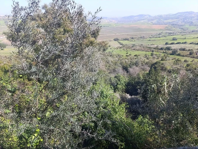 Moradia T2 para Venda em Arruda dos Vinhos Foto 7
