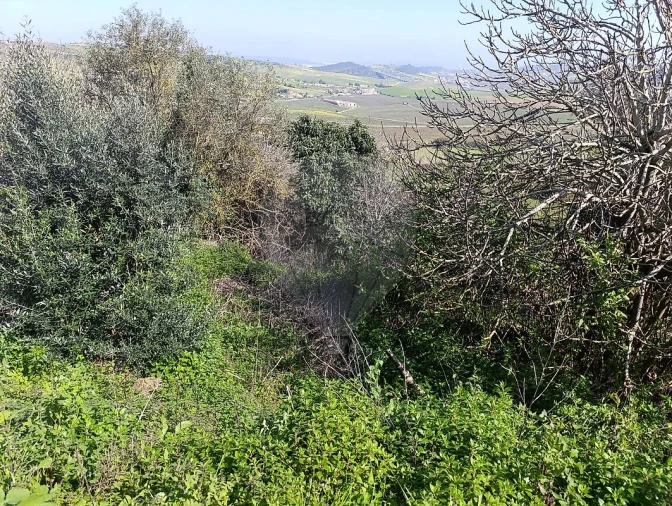 Moradia T2 para Venda em Arruda dos Vinhos Foto 20