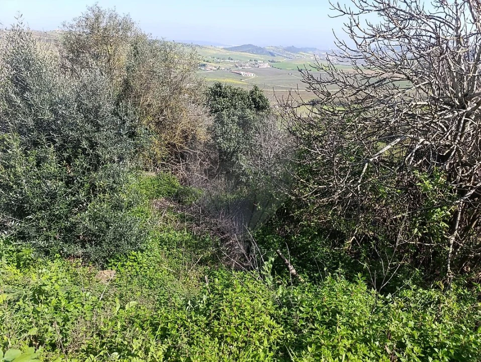 Moradia T2 para Venda em Arruda dos Vinhos Foto 20