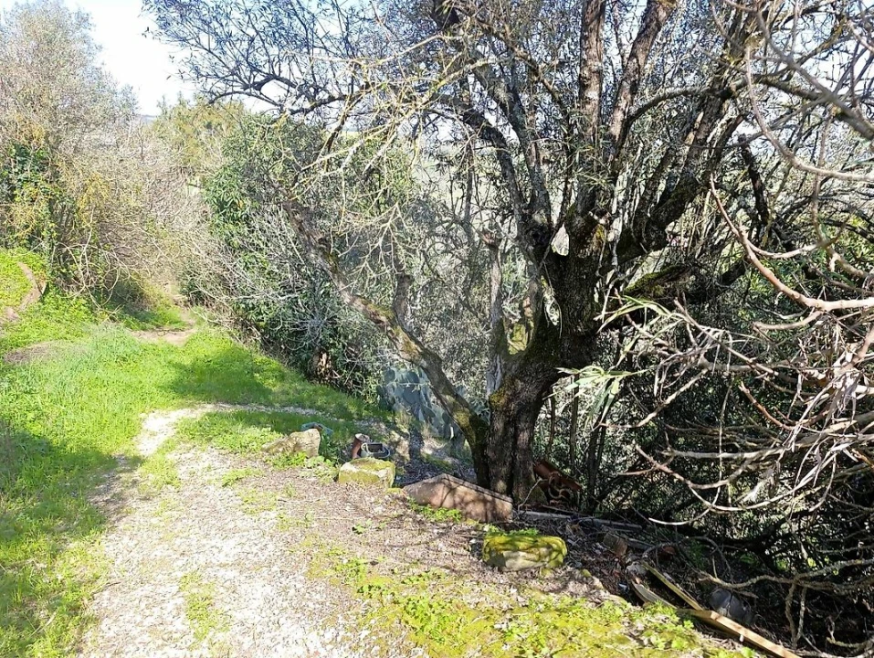 Moradia T2 para Venda em Arruda dos Vinhos Foto 18