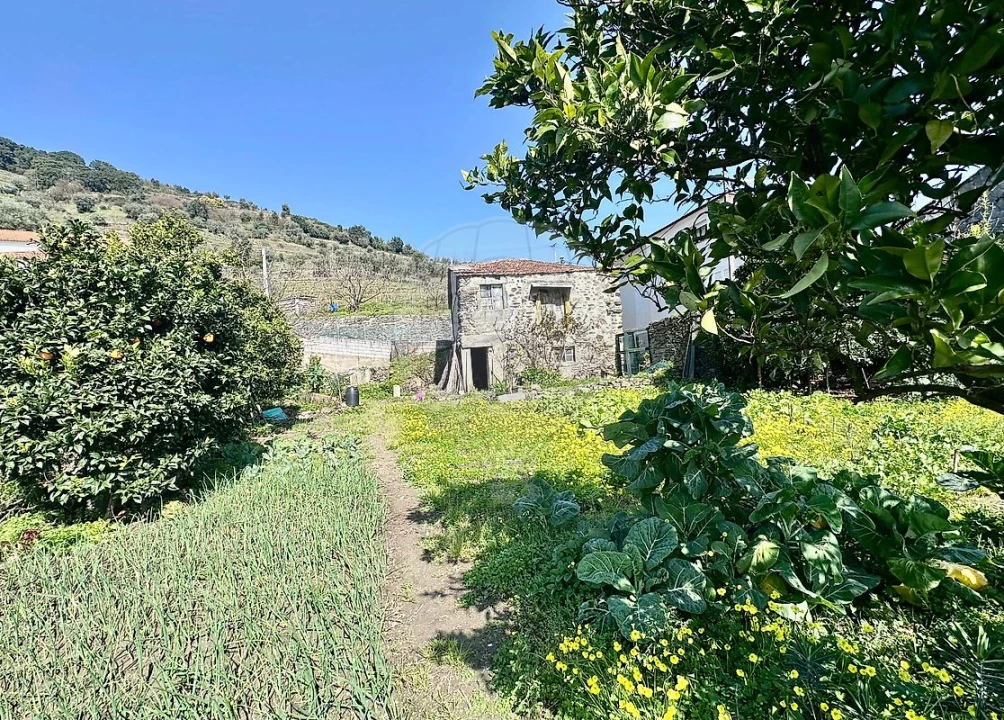 Moradia T2 para Venda em Peso da Régua e Godim Foto 2