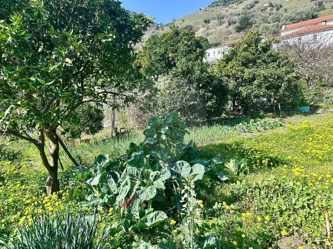 Moradia T2 para Venda em Peso da Régua e Godim Foto 5