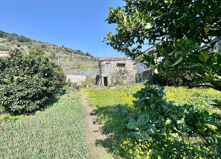 Moradia T2 para Venda em Peso da Régua e Godim Foto 2