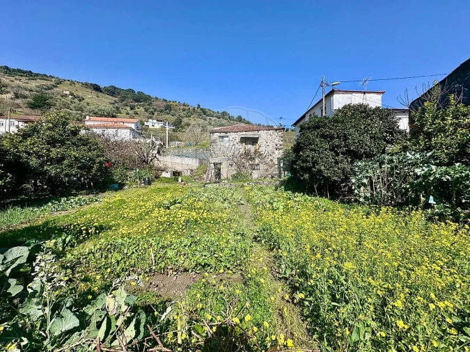 Moradia T2 para Venda em Peso da Régua e Godim Foto 3