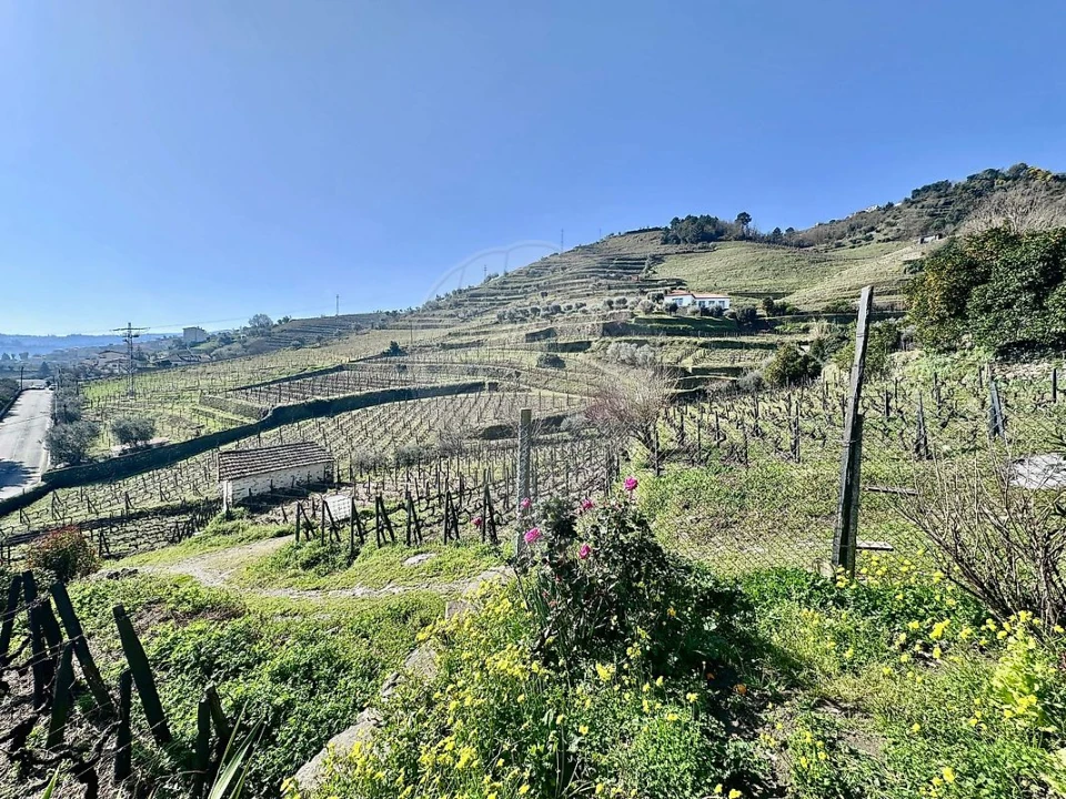 Moradia T2 para Venda em Peso da Régua e Godim Foto 10