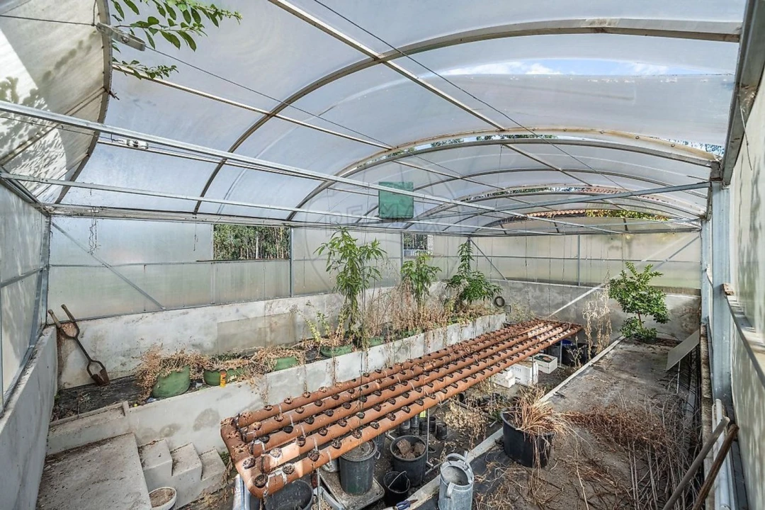 Moradia T4 para Venda em Águas Santas e Moure Foto 49