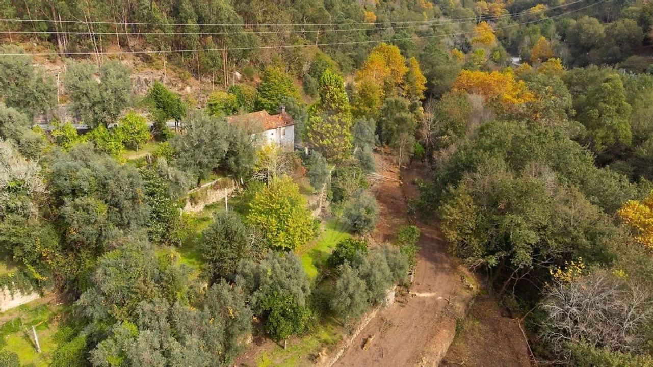 Moradia T2 para Venda em Bouro (Santa Marta) Foto 19