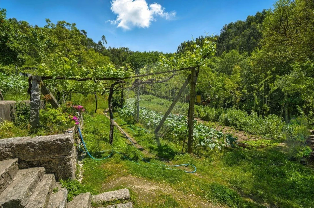 Moradia T2 para Venda em Selho (São Jorge) Foto 22