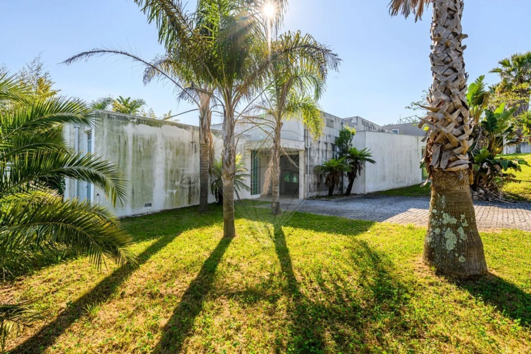 Moradia T1 para Venda em Vila Nova de São Bento e Vale de Vargo Foto 13