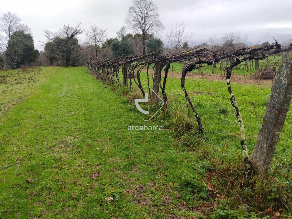 Terreno para Venda em Ganfei Foto 2
