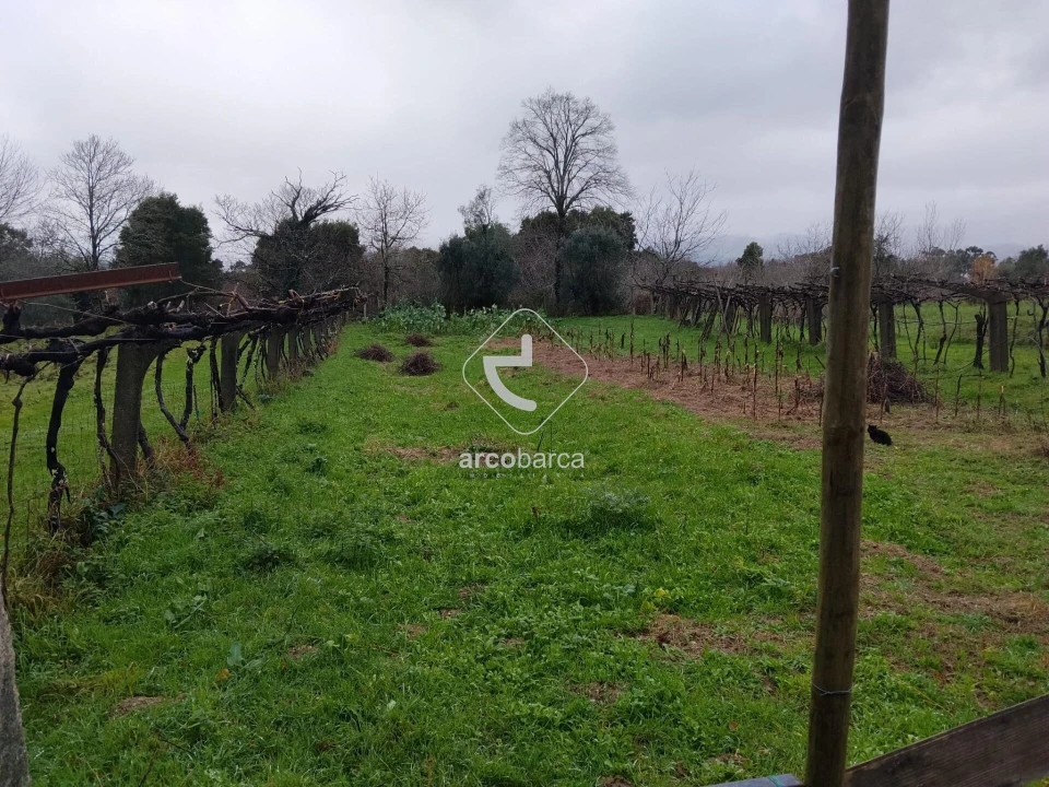 Terreno para Venda em Ganfei Foto 5
