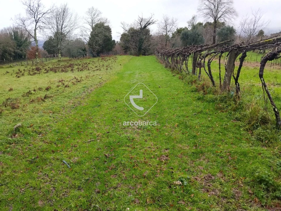 Terreno para Venda em Ganfei Foto 3