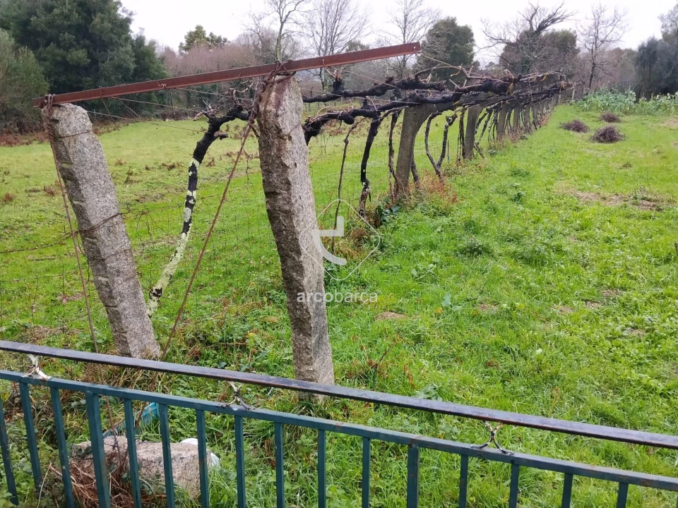 Terreno para Venda em Ganfei Foto 9