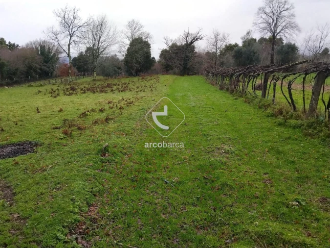 Terreno para Venda em Ganfei Foto 10