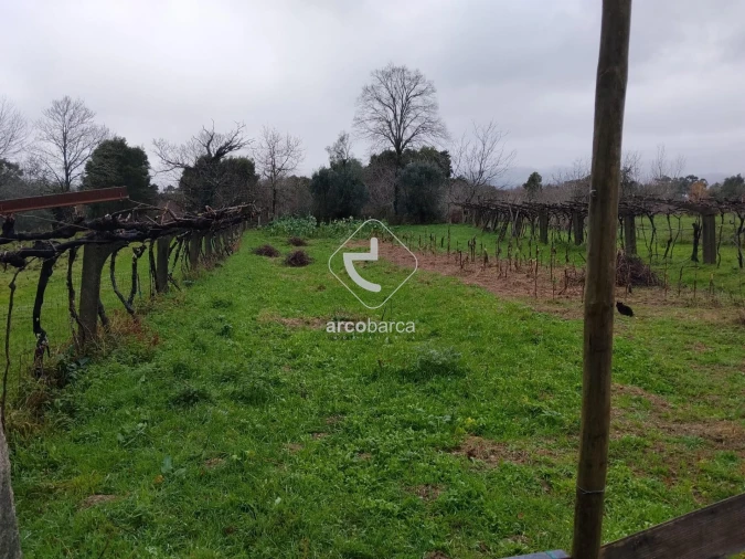 Terreno para Venda em Ganfei Foto 5