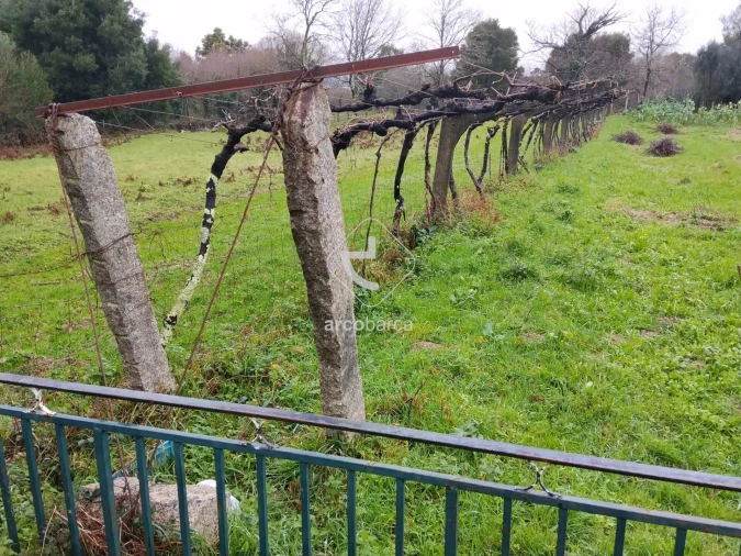 Terreno para Venda em Ganfei Foto 9