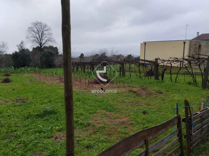 Terreno para Venda em Ganfei Foto 6