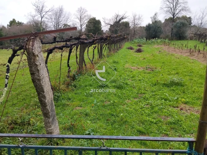 Terreno para Venda em Ganfei Foto 8