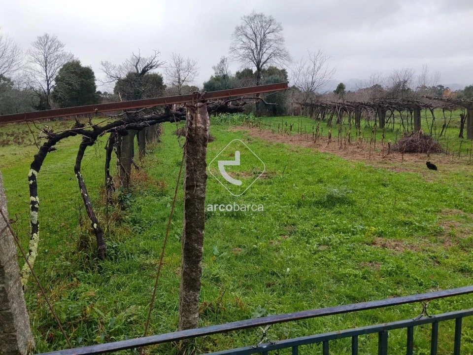 Terreno para Venda em Ganfei Foto 4