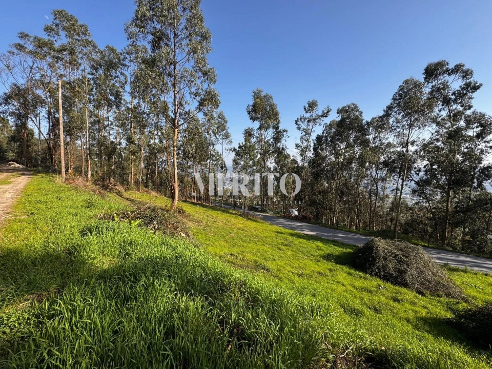 Terreno para Venda em Abação e Gémeos Foto 7