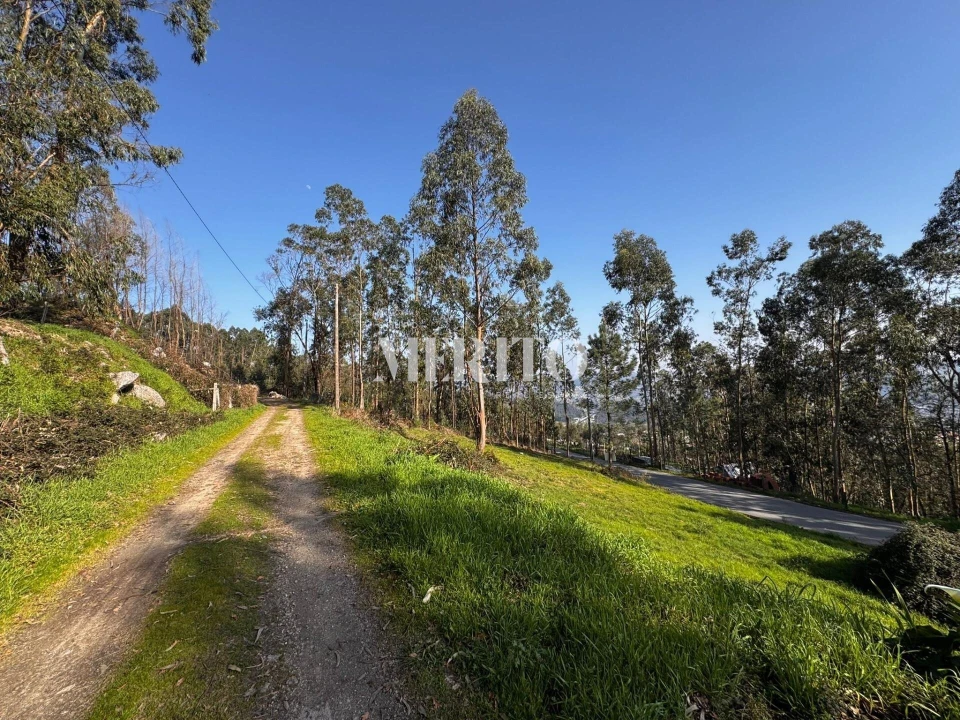 Terreno para Venda em Abação e Gémeos Foto 8