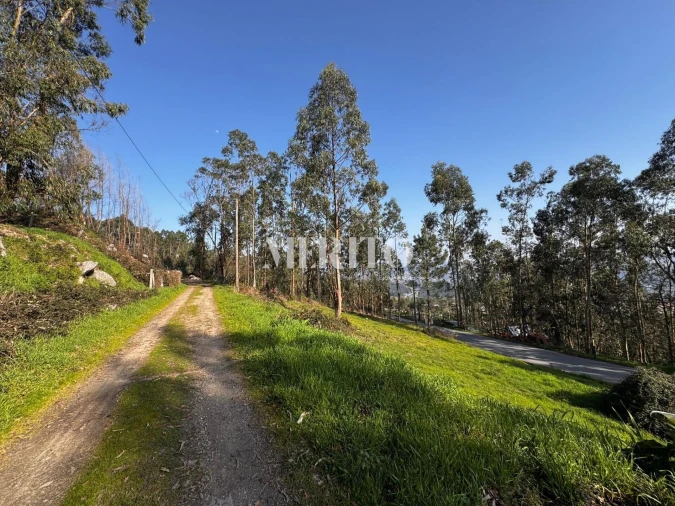 Terreno para Venda em Abação e Gémeos Foto 8