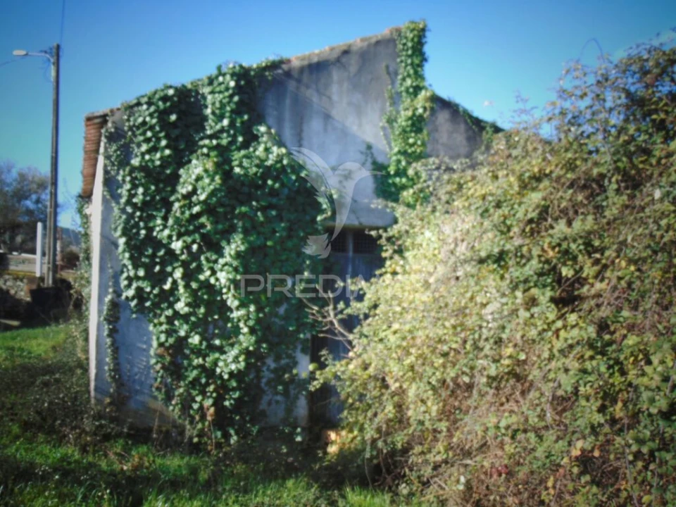 Moradia T2 para Venda em Vilarinho de São Romão Foto 7