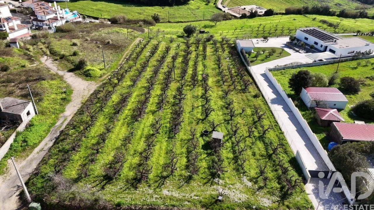 Terreno para Venda em Carvalhal Foto 2