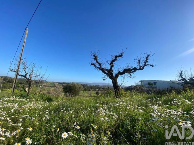 Terreno para Venda em Carvalhal Foto 7