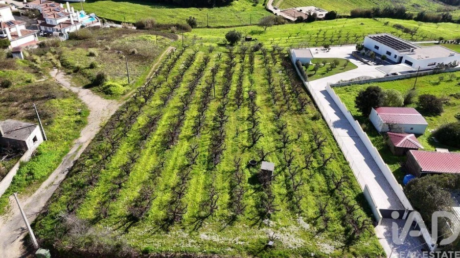 Terreno para Venda em Carvalhal Foto 2