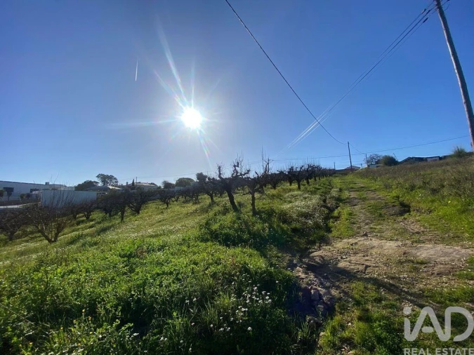 Terreno para Venda em Carvalhal Foto 6