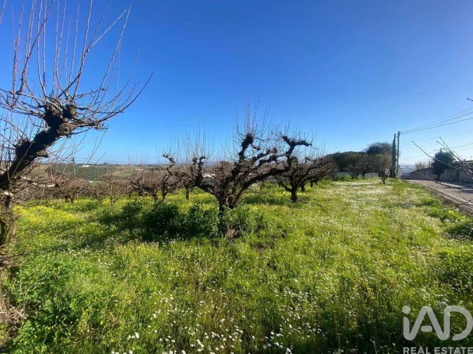 Terreno para Venda em Carvalhal Foto 5