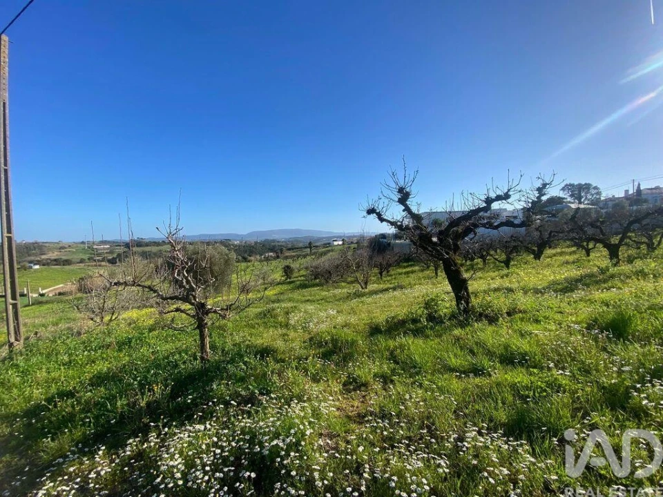 Terreno para Venda em Carvalhal Foto 4