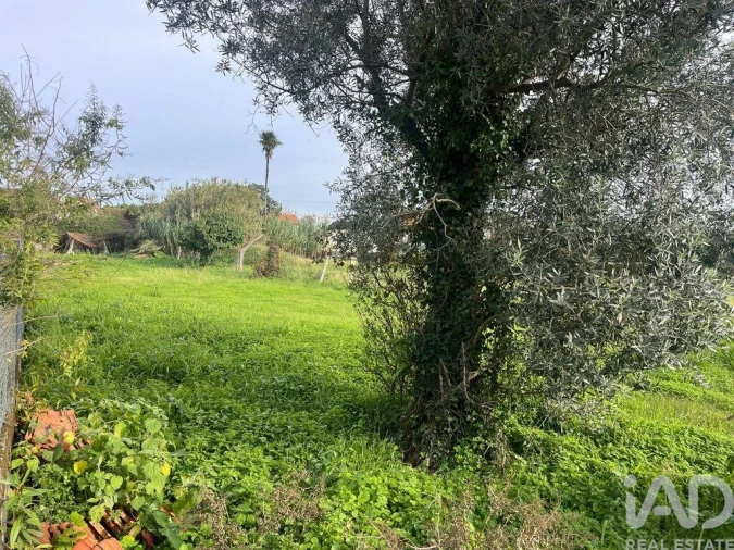 Terreno para Venda em Ovar, São João, Arada e São Vicente de Pereira Jusã Foto 3