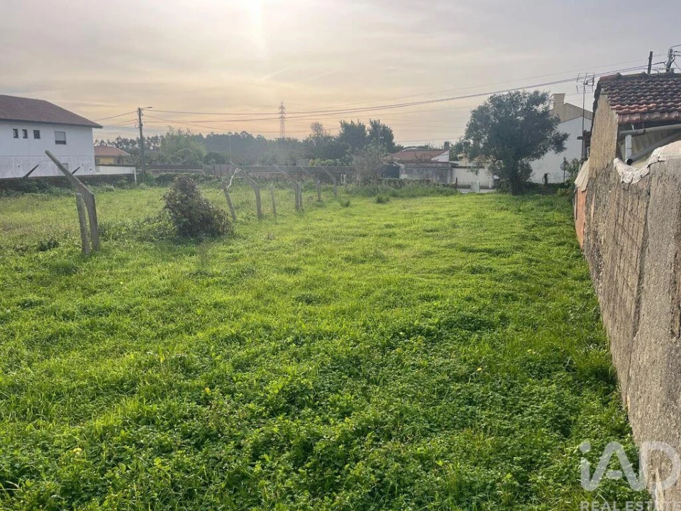 Terreno para Venda em Ovar, São João, Arada e São Vicente de Pereira Jusã Foto 7