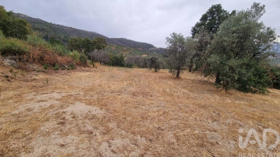 Quinta T2 para Venda em Famalicão Foto 35