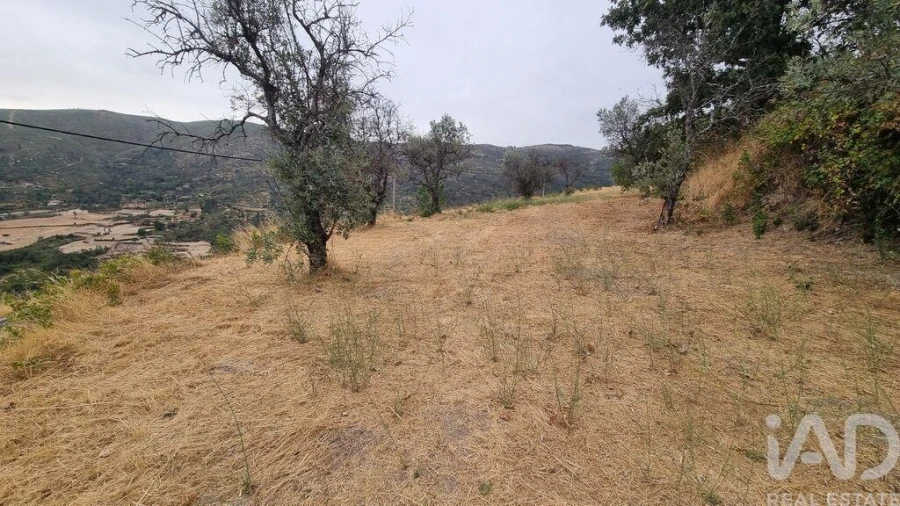 Quinta T2 para Venda em Famalicão Foto 28