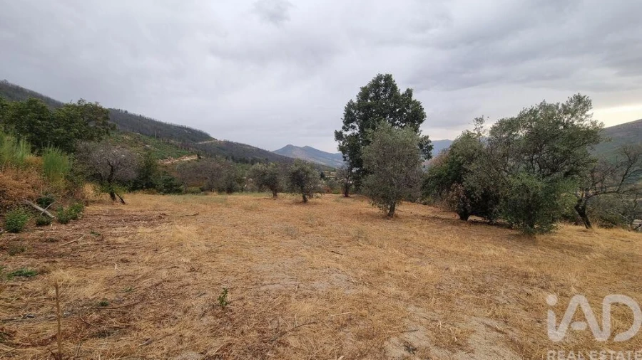 Quinta T2 para Venda em Famalicão Foto 30