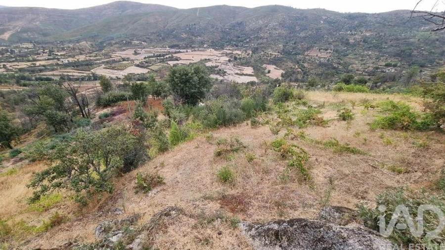 Quinta T2 para Venda em Famalicão Foto 24