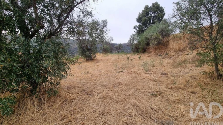 Quinta T2 para Venda em Famalicão Foto 26