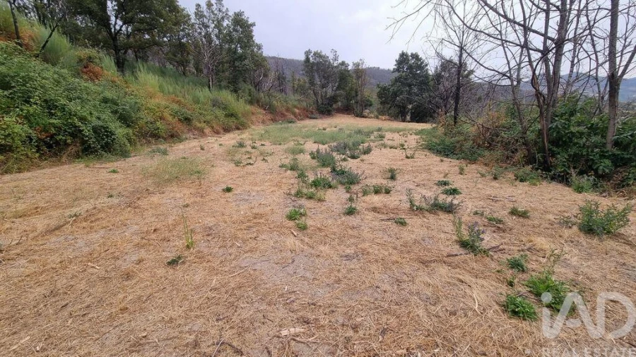 Quinta T2 para Venda em Famalicão Foto 32