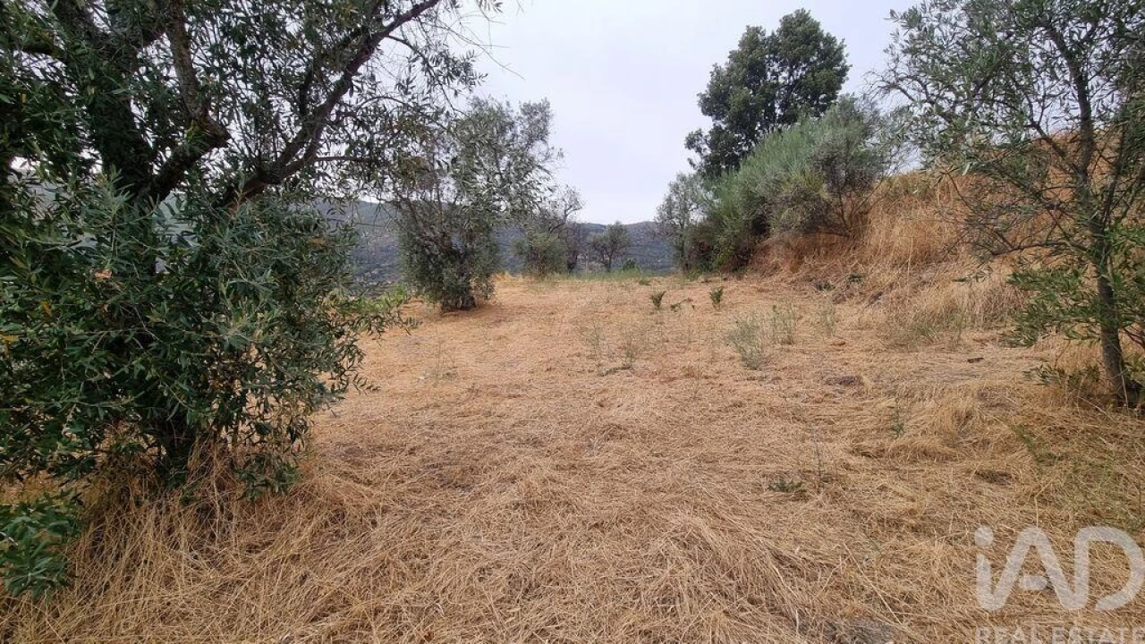 Quinta T2 para Venda em Famalicão Foto 26